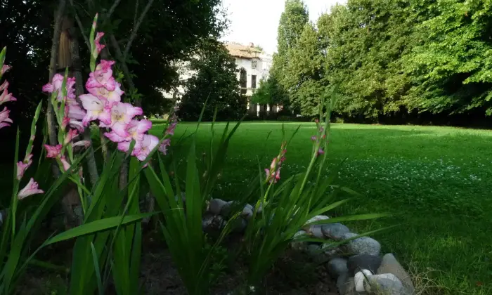 Rexer-Bolzano-Vicentino-Antica-villa-in-vendita-in-via-Postumia-a-Bolzano-Vicentino-Giardino