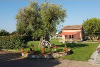 Rexer-Altopascio-Casale-in-vendita-in-via-delle-Spianate-ad-Altopascio-Giardino