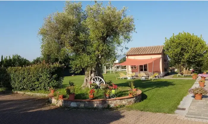 Rexer-Altopascio-Casale-in-vendita-in-via-delle-Spianate-ad-Altopascio-Giardino