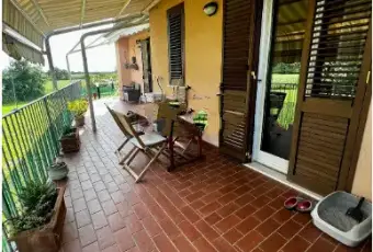 Rexer-Scarlino-Appartamento-su-due-piani-in-vendita-in-via-San-Francesco-Altro
