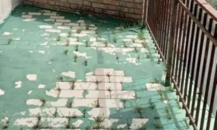 Rexer-Corniglio-Rustico-frazione-Marra-Marra-Corniglio-Terrazzo