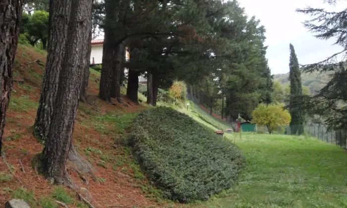 Rexer-Dicomano-Villa-unifamiliare-sulle-colline-di-Dicomano-Giardino
