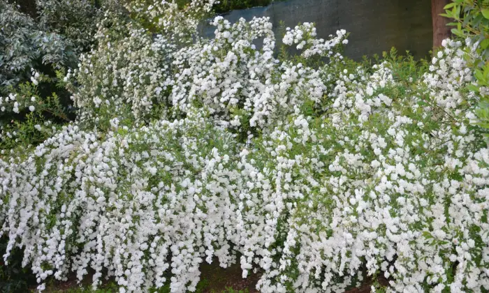Rexer-Dicomano-Villa-unifamiliare-sulle-colline-di-Dicomano-Terrazzo