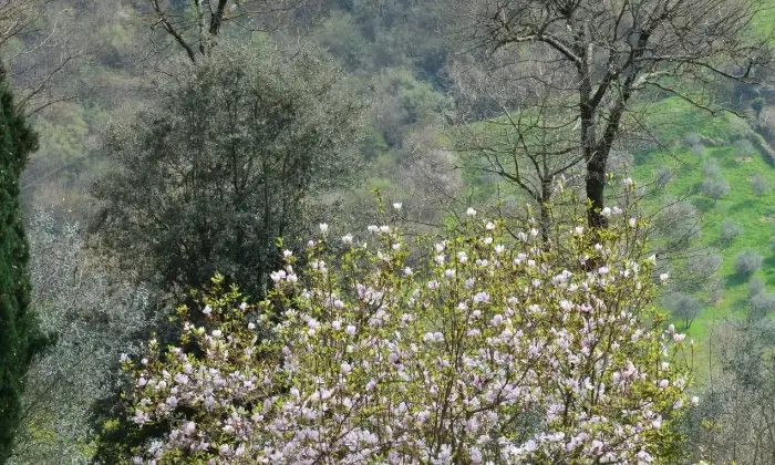 Rexer-Dicomano-Villa-unifamiliare-sulle-colline-di-Dicomano-Terrazzo