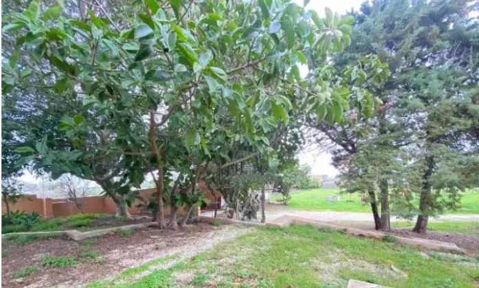 Rexer-Marsala-Villa-in-vendita-in-contrada-Spagnola-a-Marsala-Giardino