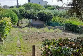 Rexer-Cerreto-Guidi-Terratetto-unifamiliare-via-Poggio-al-Vento-Ripoli-Cerreto-Guidi-Giardino