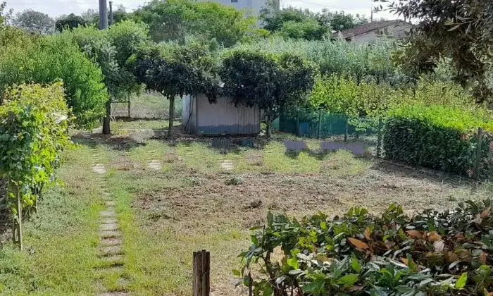 Rexer-Cerreto-Guidi-Terratetto-unifamiliare-via-Poggio-al-Vento-Ripoli-Cerreto-Guidi-Giardino