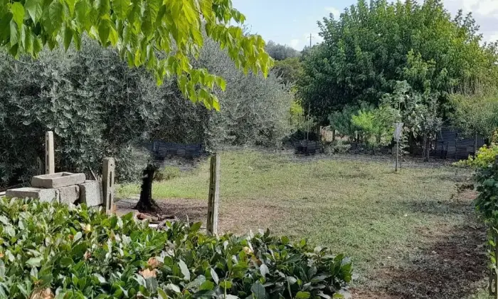 Rexer-Cerreto-Guidi-Terratetto-unifamiliare-via-Poggio-al-Vento-Ripoli-Cerreto-Guidi-Giardino