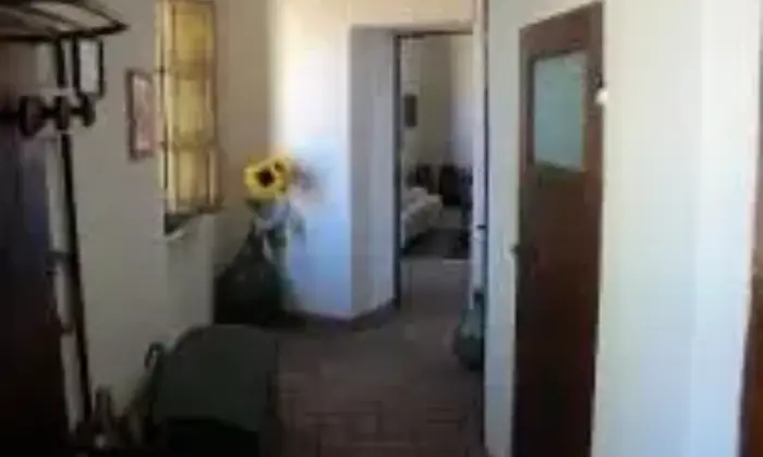 Rexer-Gavorrano-Appartamento-in-vendita-in-localit-Giuncarico-a-Gavorrano-Altro