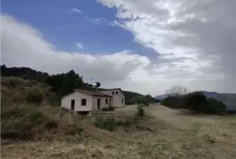 Rexer-CalatafimiSegesta-Propriet-rustica-in-contrada-Marzuco-Giubino-a-Calatafimi-Segesta-Terrazzo
