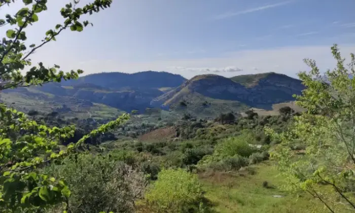 Rexer-CalatafimiSegesta-Propriet-rustica-in-contrada-Marzuco-Giubino-a-Calatafimi-Segesta-Terrazzo