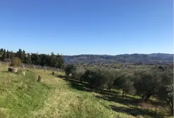 Rexer-Cesena-Vendesi-Propriet-rustica-in-Via-Lizzano-a-Cesena-Terrazzo