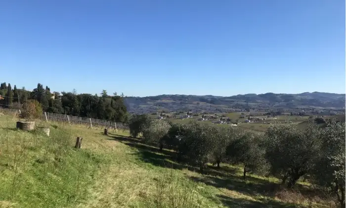 Rexer-Cesena-Vendesi-Propriet-rustica-in-Via-Lizzano-a-Cesena-Terrazzo