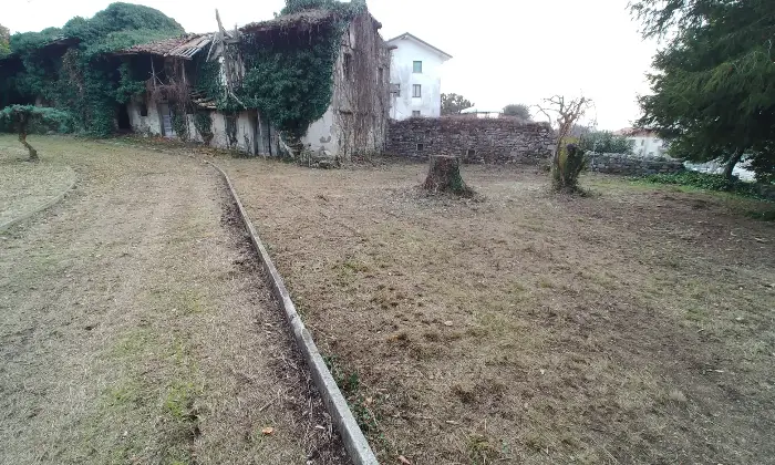 Rexer-Tarcento-Vendesi-Villa-d-epoca-a-Loneriacco-di-Tarcento-Giardino