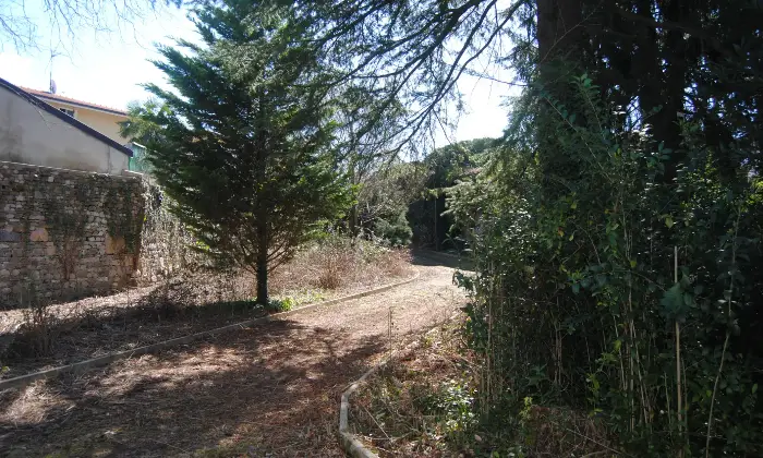 Rexer-Tarcento-Vendesi-Villa-d-epoca-a-Loneriacco-di-Tarcento-Giardino
