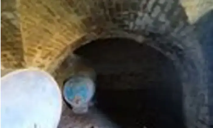 Rexer-Massignano-Casalecascina-in-vendita-in-contrada-Piana-Santi-Massignano-Cantina
