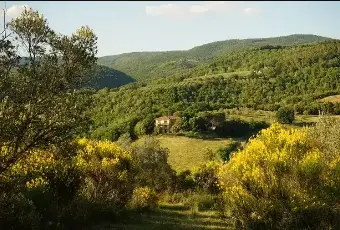 Rexer-Orvieto-Agriturismo-e-azienda-agricola-Orvieto-Terrazzo