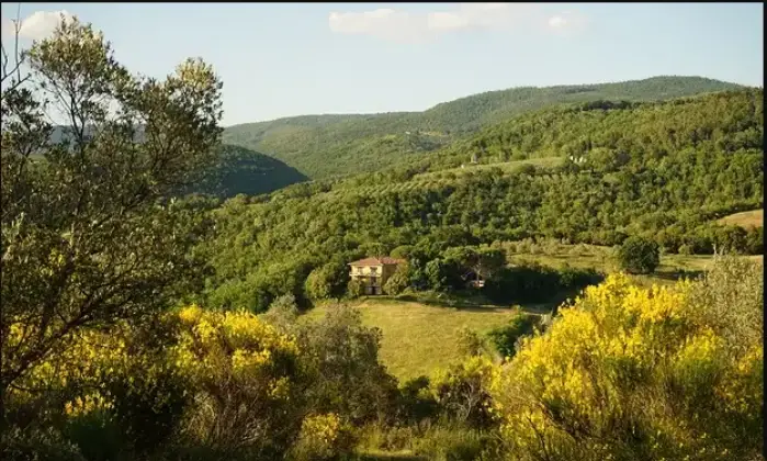Rexer-Orvieto-Agriturismo-e-azienda-agricola-Orvieto-Terrazzo