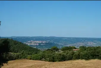 Rexer-Orvieto-Agriturismo-e-azienda-agricola-Orvieto-Terrazzo
