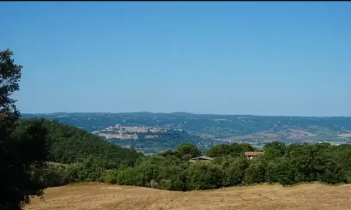 Rexer-Orvieto-Agriturismo-e-azienda-agricola-Orvieto-Terrazzo