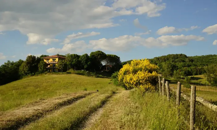 Rexer-Orvieto-Agriturismo-e-azienda-agricola-Orvieto-Terrazzo