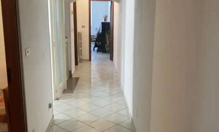 Rexer-Maglie-Casa-indipendente-per-uso-commercialeprofessionale-Altro