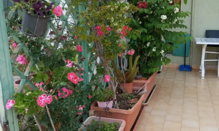 Rexer-Monreale-Appartamento-in-vendita-in-via-Regione-Siciliana-a-Monreale-Terrazzo