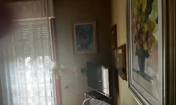 Rexer-Campiglia-Marittima-Villa-unifamiliare-via-Don-Luigi-Sturzo-Venturina-Campiglia-Marittima-Altro