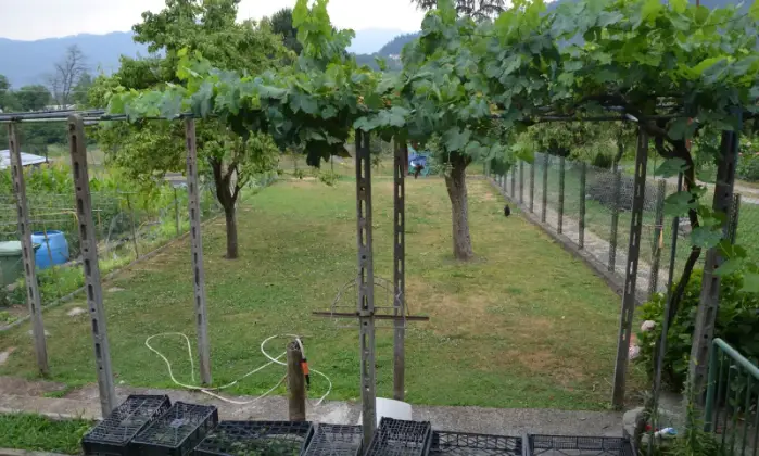 Rexer-Beverino-Vendesi-casa-semiindipendente-a-Cavanella-Vara-Giardino