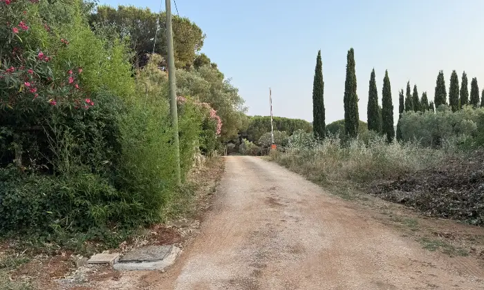 Rexer-Orbetello-Villetta-a-schiera-in-Loc-Provinca-Orbetello-GR-Zone-comuni