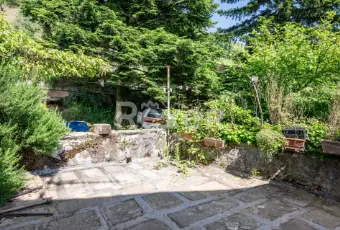 Rexer-Ricc-del-Golfo-di-Spezia-Terratetto-a-Polverara-GIARDINO
