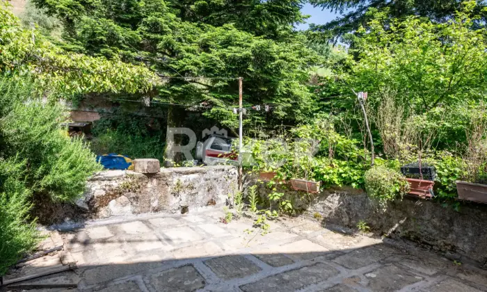 Rexer-Ricc-del-Golfo-di-Spezia-Terratetto-a-Polverara-GIARDINO
