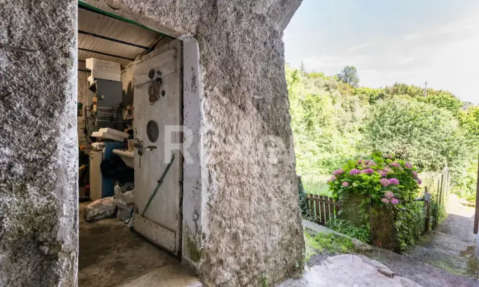 Rexer-Ricc-del-Golfo-di-Spezia-Terratetto-a-Polverara-CANTINA