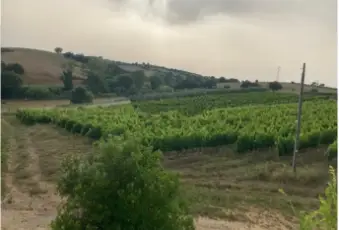 Rexer-Magliano-in-Toscana-Casalecascina-in-vendita-in-via-Provinciale-a-Magliano-in-Toscana-Terrazzo