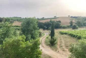 Rexer-Magliano-in-Toscana-Casalecascina-in-vendita-in-via-Provinciale-a-Magliano-in-Toscana-Terrazzo