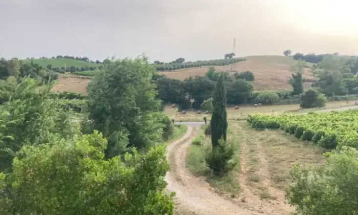 Rexer-Magliano-in-Toscana-Casalecascina-in-vendita-in-via-Provinciale-a-Magliano-in-Toscana-Terrazzo