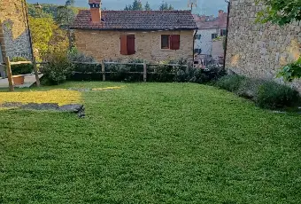 Rexer-Pratovecchio-Stia-ANTICO-CASALE-RISTRUTTURATO-in-via-Casalino-borgo-frazione-di-Pratovecchio-Stia-Giardino