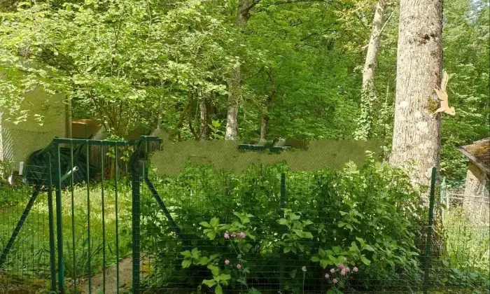 Rexer-Alto-Reno-Terme-Vendesi-Villa-a-schiera-in-Molino-di-TognarinoAlto-Reno-Terme-Giardino