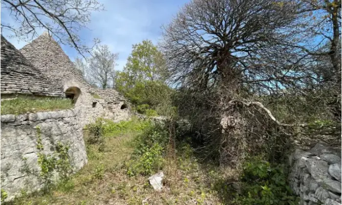 Rexer-Locorotondo-Trullo-in-vendita-in-strada-Comunale-Cerrosa-a-Locorotondo-Terrazzo