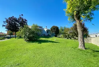 Rexer-Latisana-Villa-in-vendita-in-via-Don-Giovanni-Picotti-Giardino