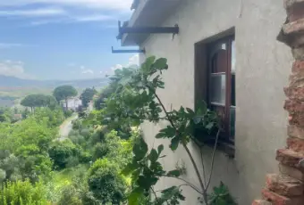 Rexer-Terricciola-Villetta-indipendente-al-grezzo-in-via-delle-Ripe-a-Terricciola-GIARDINO