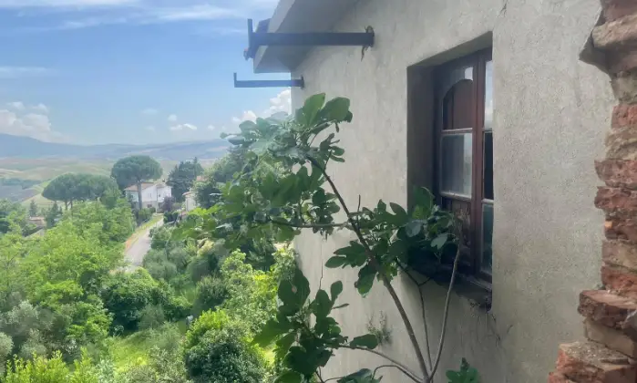 Rexer-Terricciola-Villetta-indipendente-al-grezzo-in-via-delle-Ripe-a-Terricciola-GIARDINO