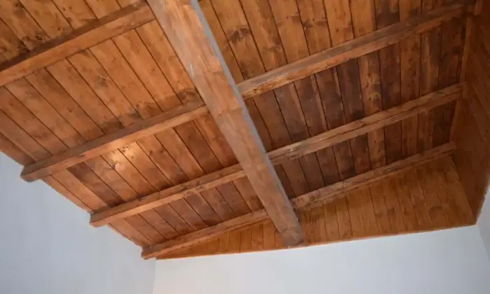 Rexer-Tagliacozzo-Casa-indipendente-Altro