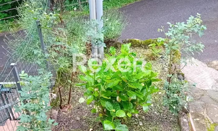 Rexer-Bedonia-Villa-a-schiera-in-vendita-in-Localit-Volpara-a-Bedonia-Altro