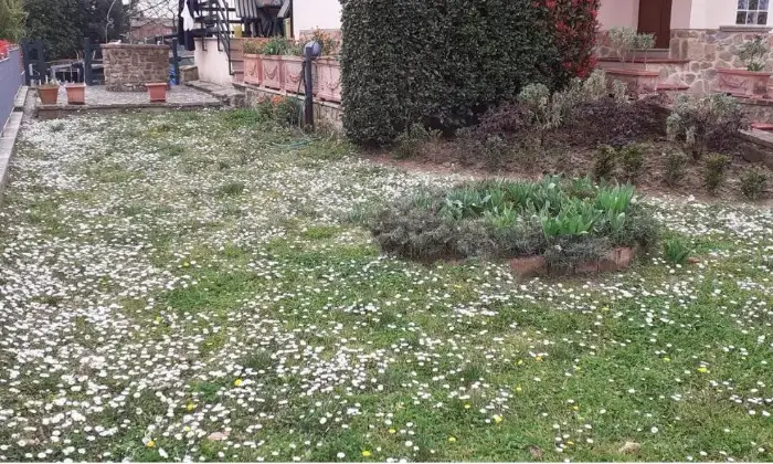 Rexer-Asciano-Villa-in-vendita-in-viale-I-Maggio-Asciano-GIARDINO