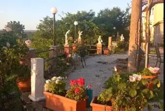 Rexer-Scansano-Vendesi-casa-in-maremma-toscana-indipendente-in-Scansano-Giardino