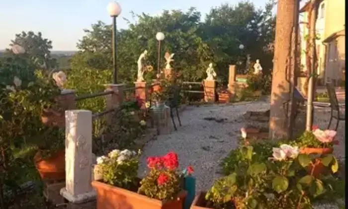 Rexer-Scansano-Vendesi-casa-in-maremma-toscana-indipendente-in-Scansano-Giardino