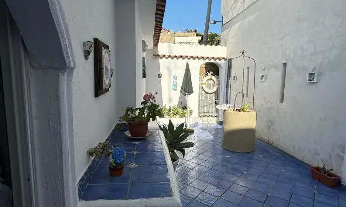 Rexer-Barano-dIschia-Fitto-settimanale-al-giorno-Terrazzo