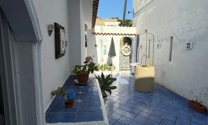 Rexer-Barano-dIschia-Fitto-settimanale-al-giorno-Terrazzo