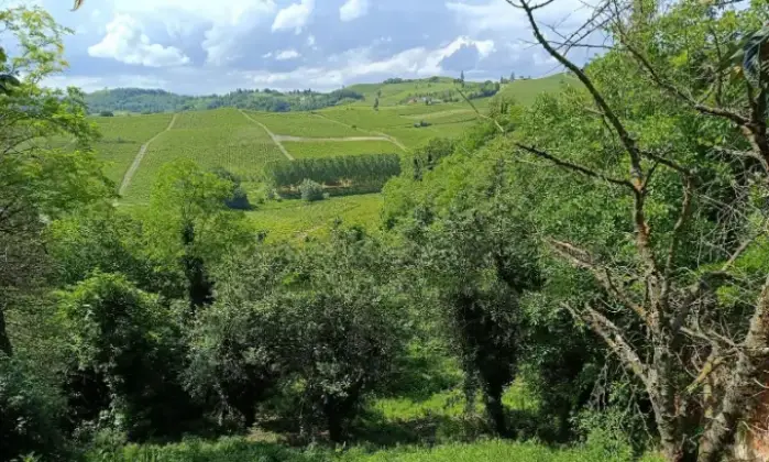 Rexer-Alice-Bel-Colle-Casalecascina-in-vendita-in-Regione-Boidini-Terrazzo
